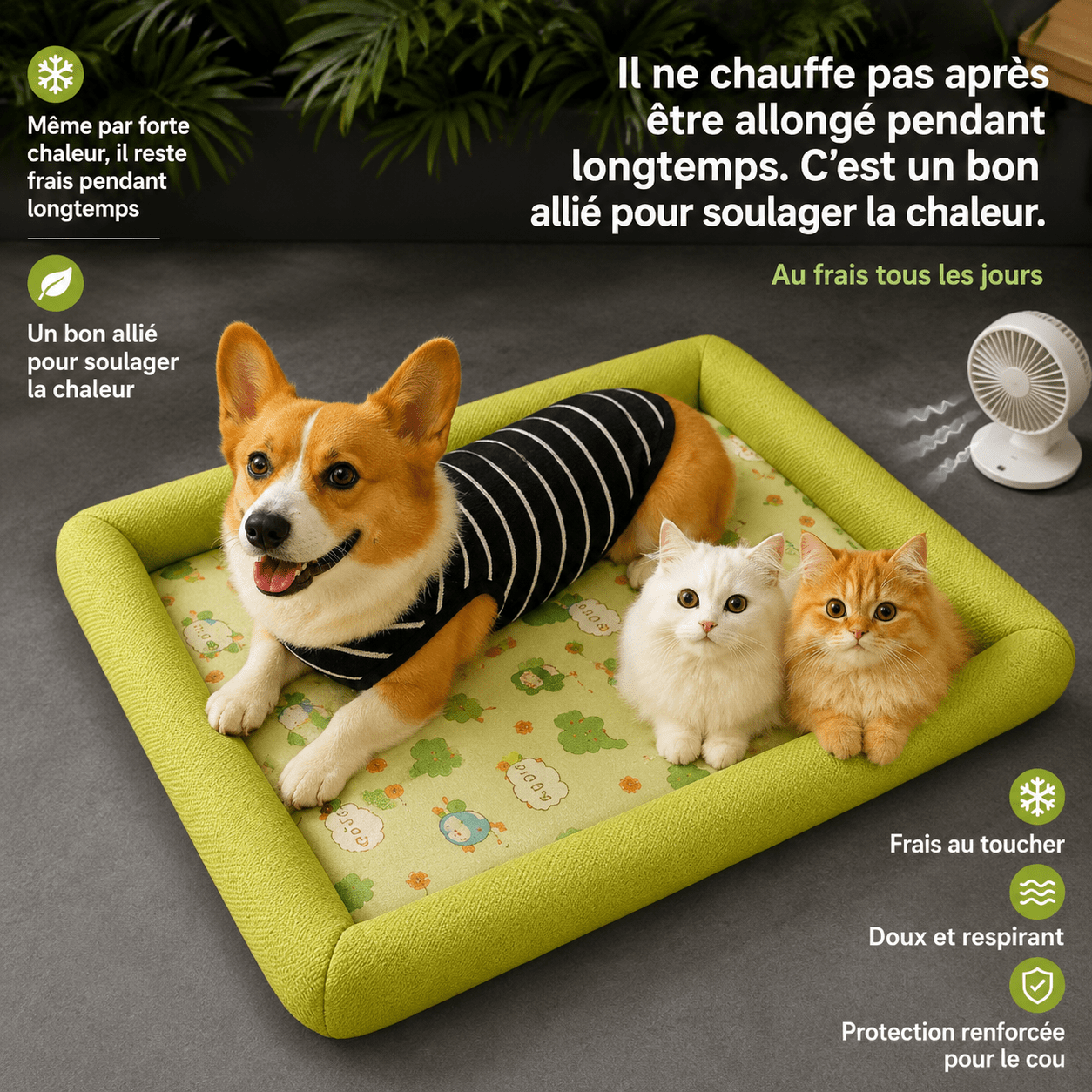 panier élégant pour chien