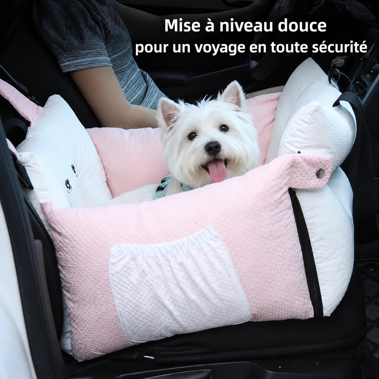 Confort pour chien en voiture