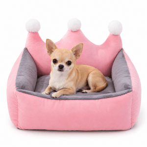 panier de princesse petit chien