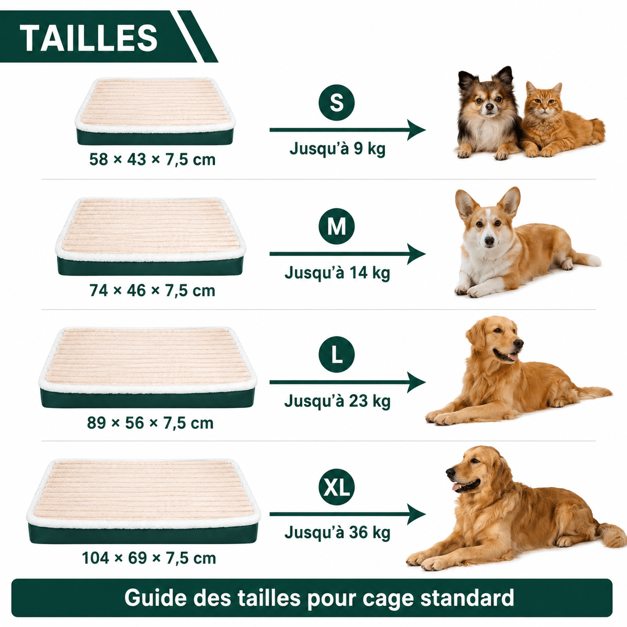 panier élégant chien