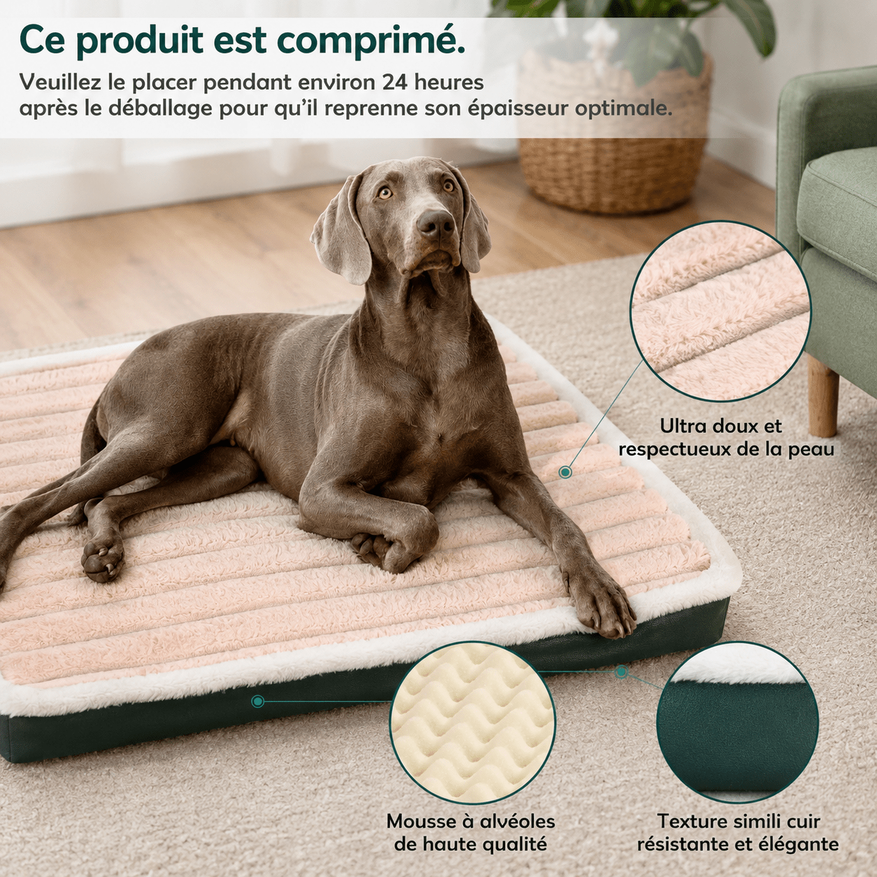 confortable panier grand chien