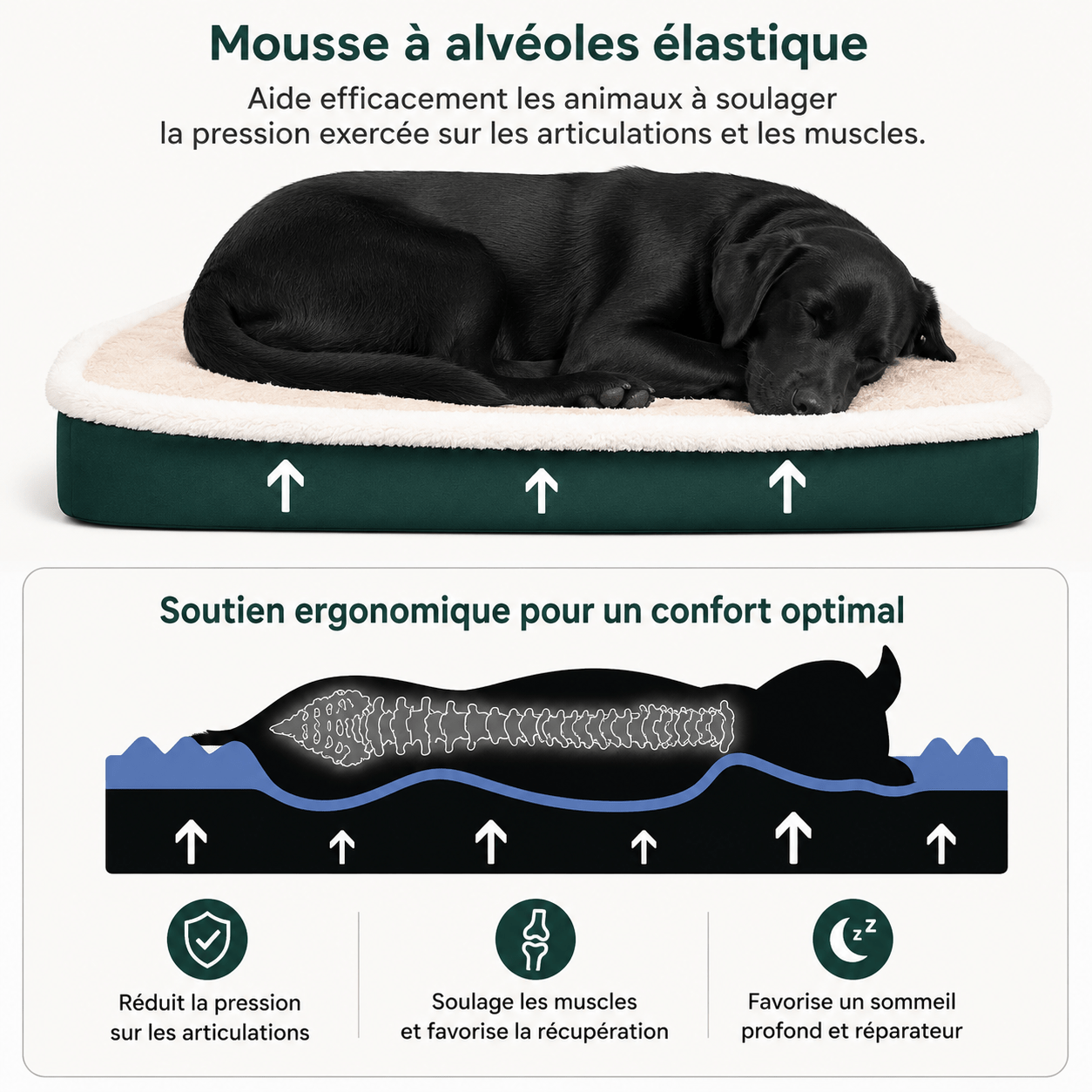 panier robuste chien