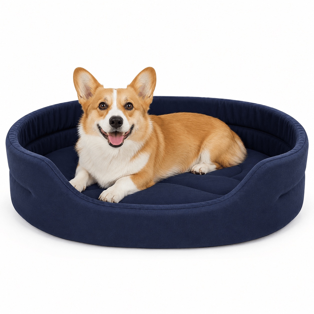 panier grand chien bleu
