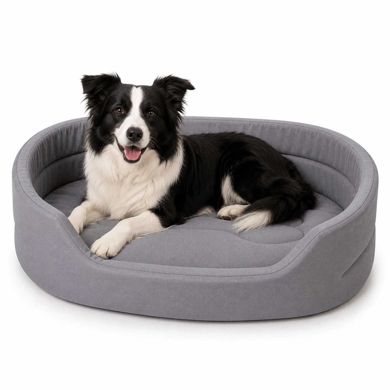 panier grand chien gris
