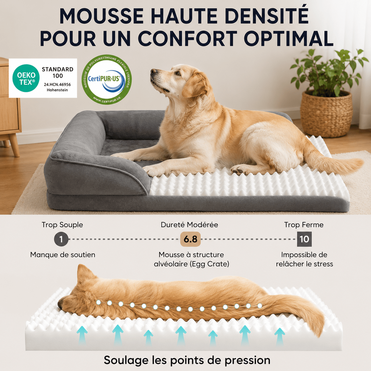 design moderne panier chien