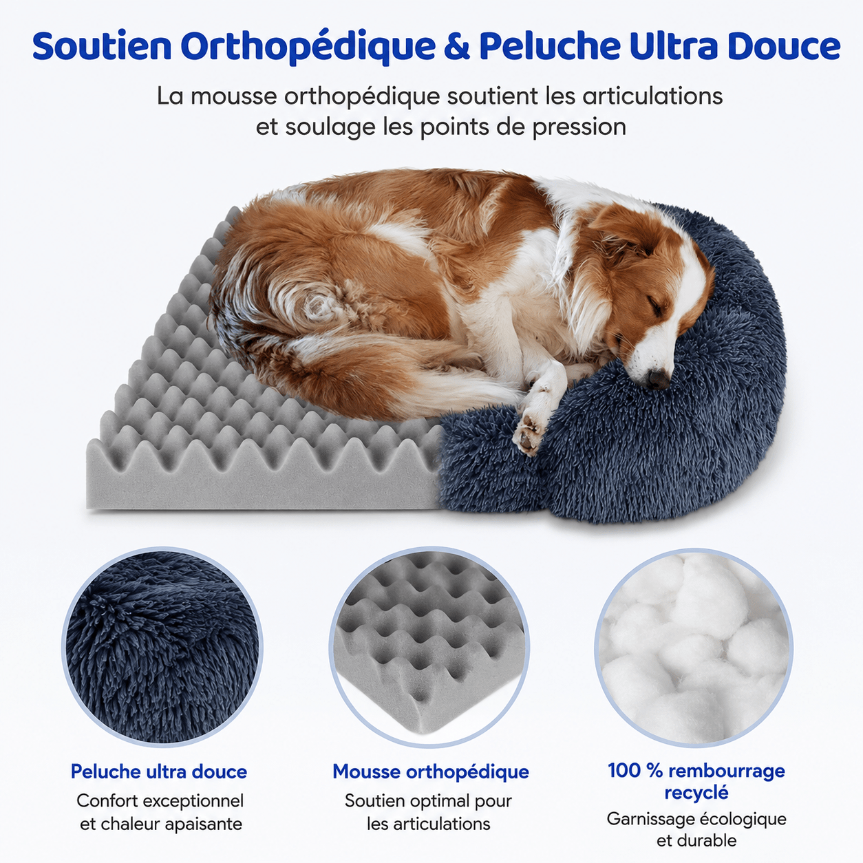 couchage spacieux pour grand chien