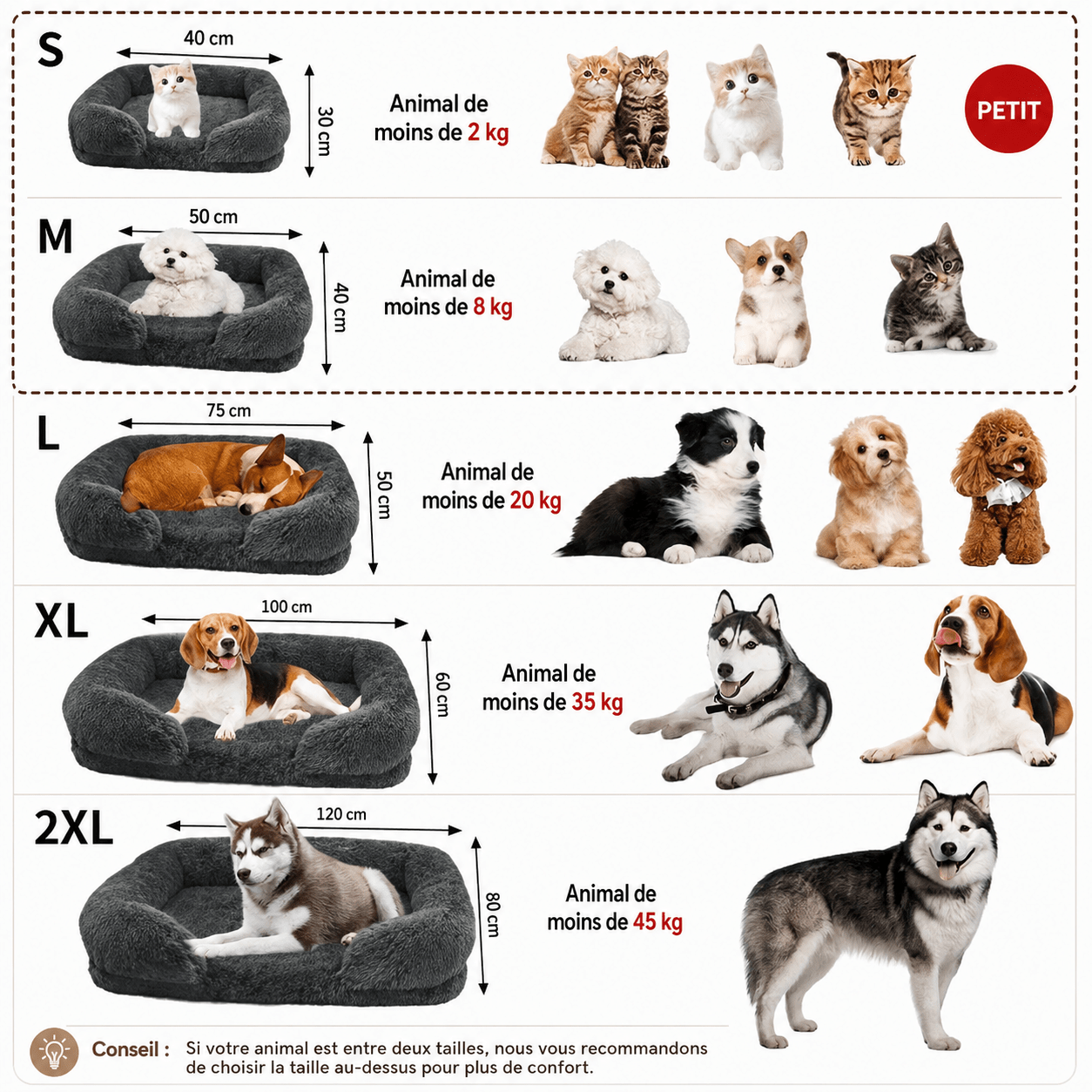 refuge moelleux pour animaux