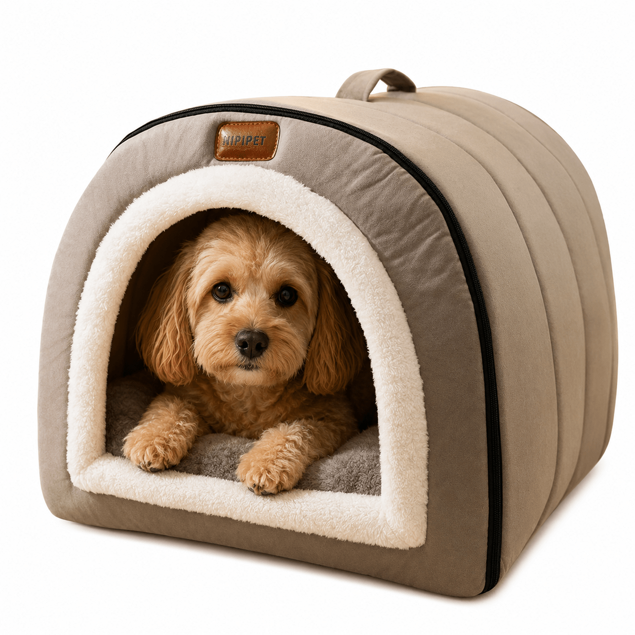 panier dome grand chien