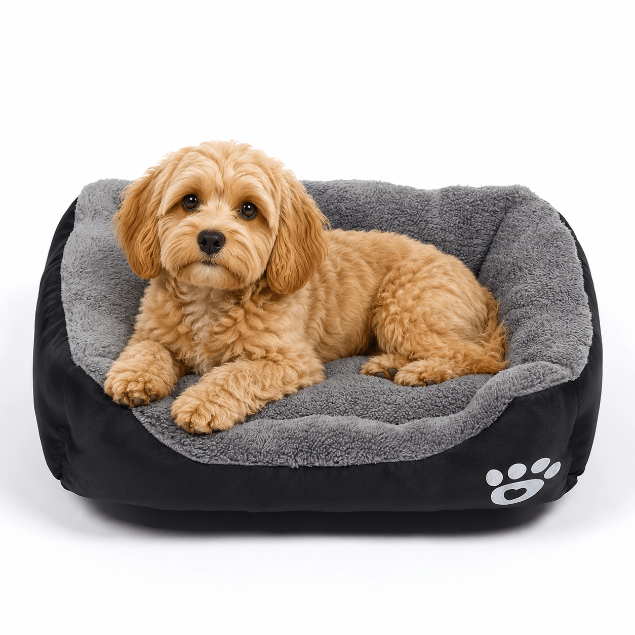 panier coton grand chien