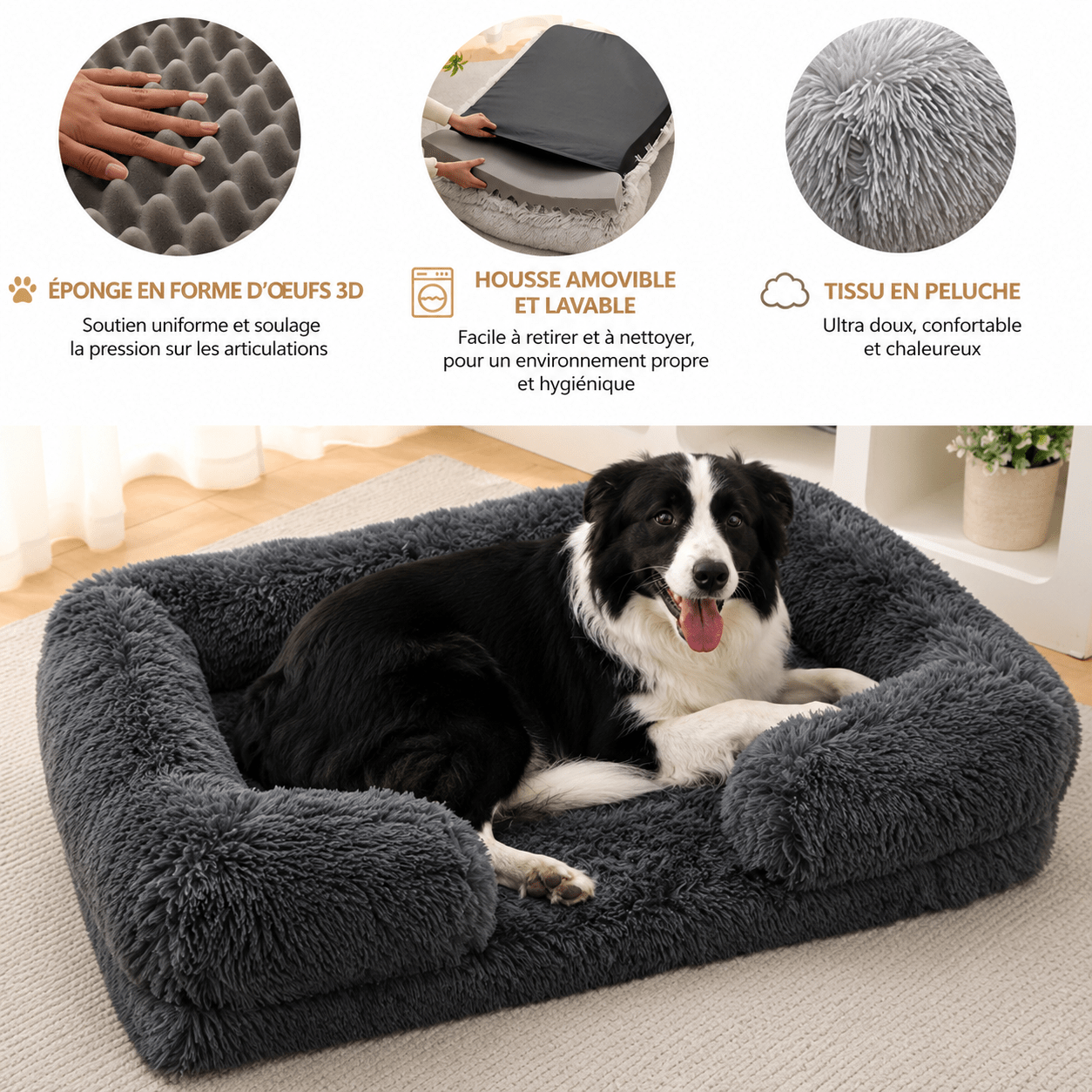 confort pour grand chien