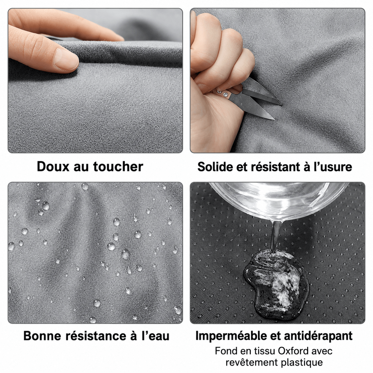 panier chien luxe