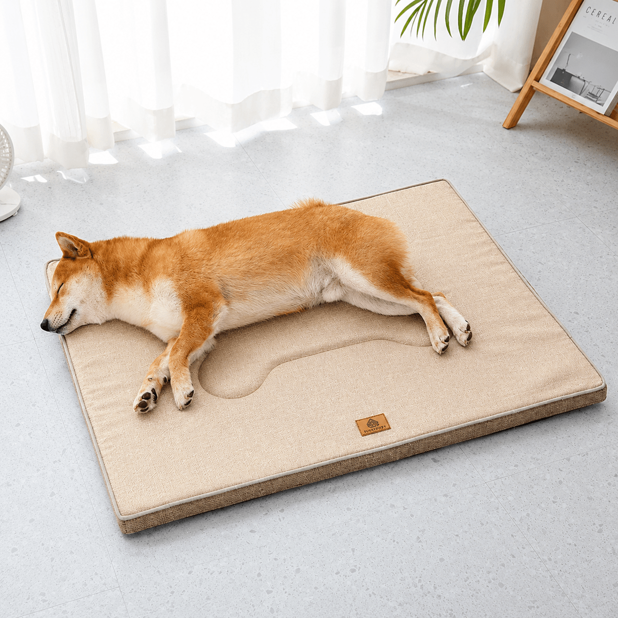 panier grand chien