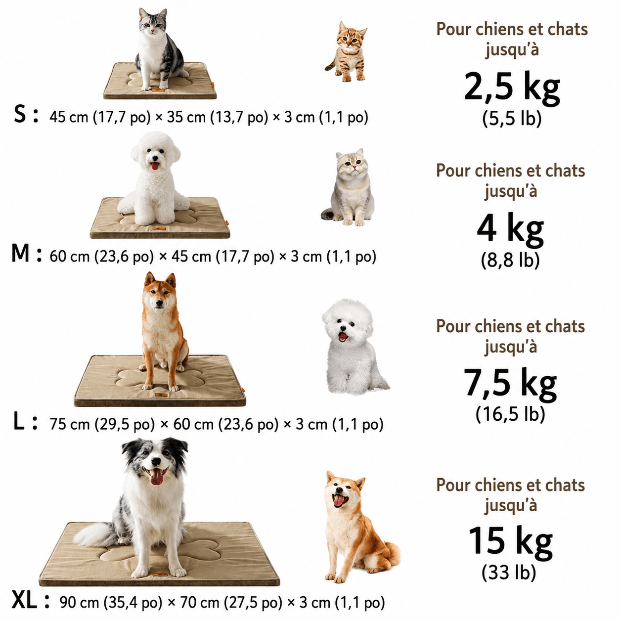coussin lavable chien