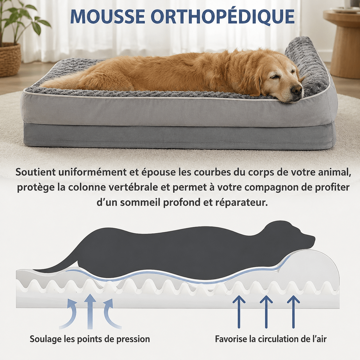 panier orthopedique grand chien – Image 3