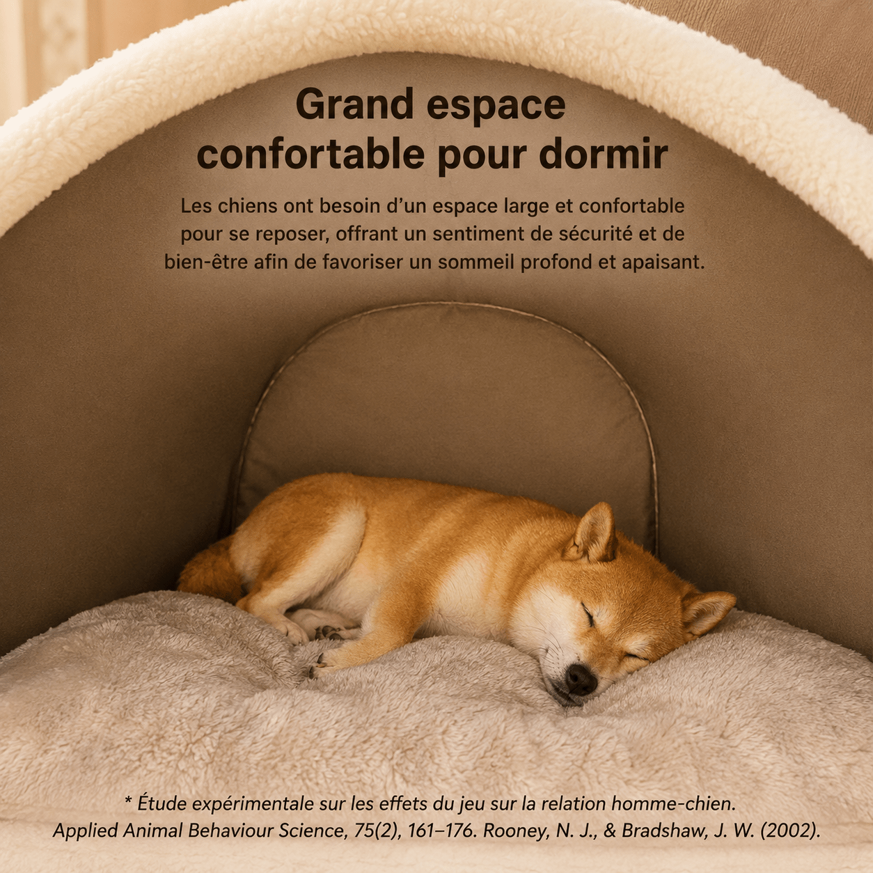 panier élégant pour chien