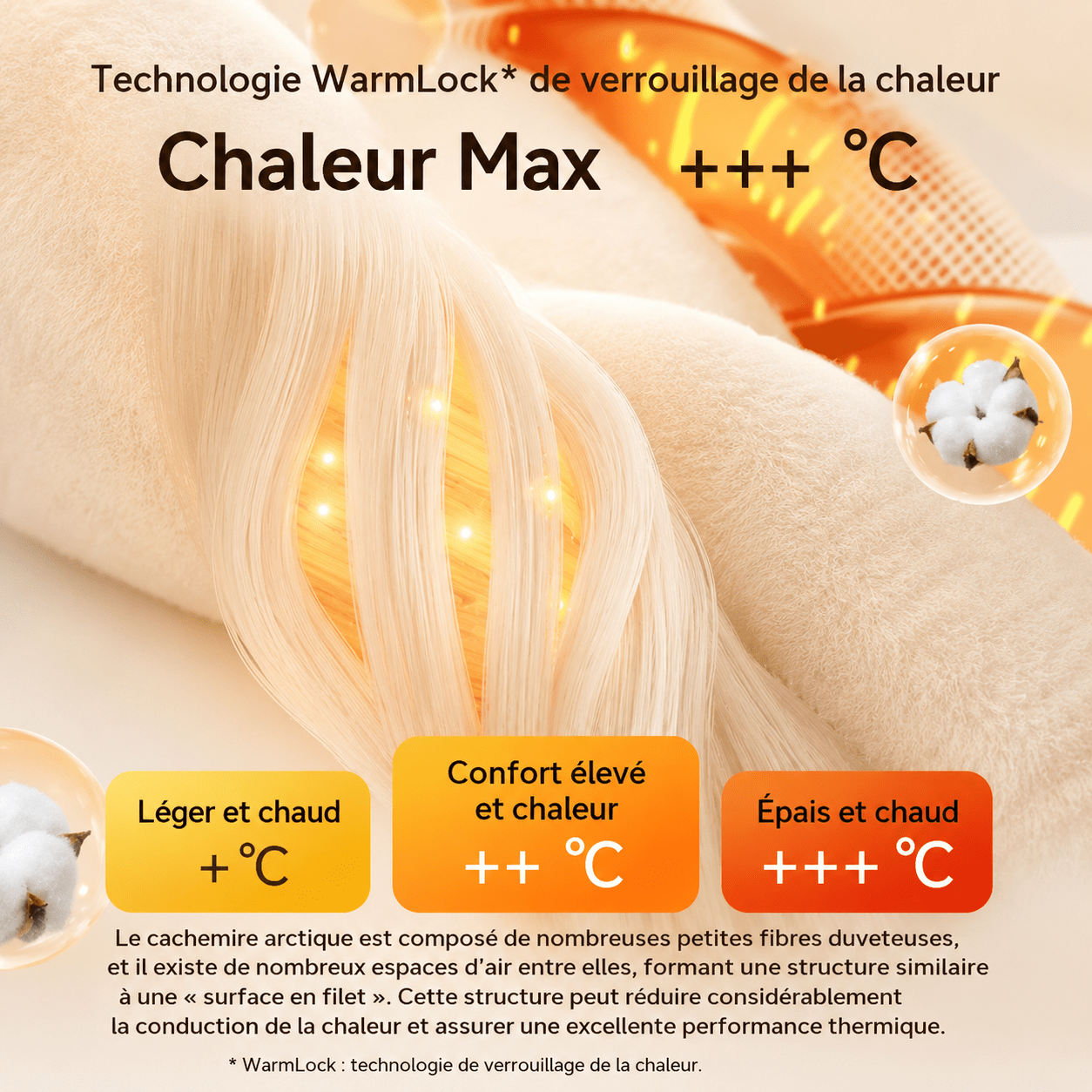 refuge pour grand chien