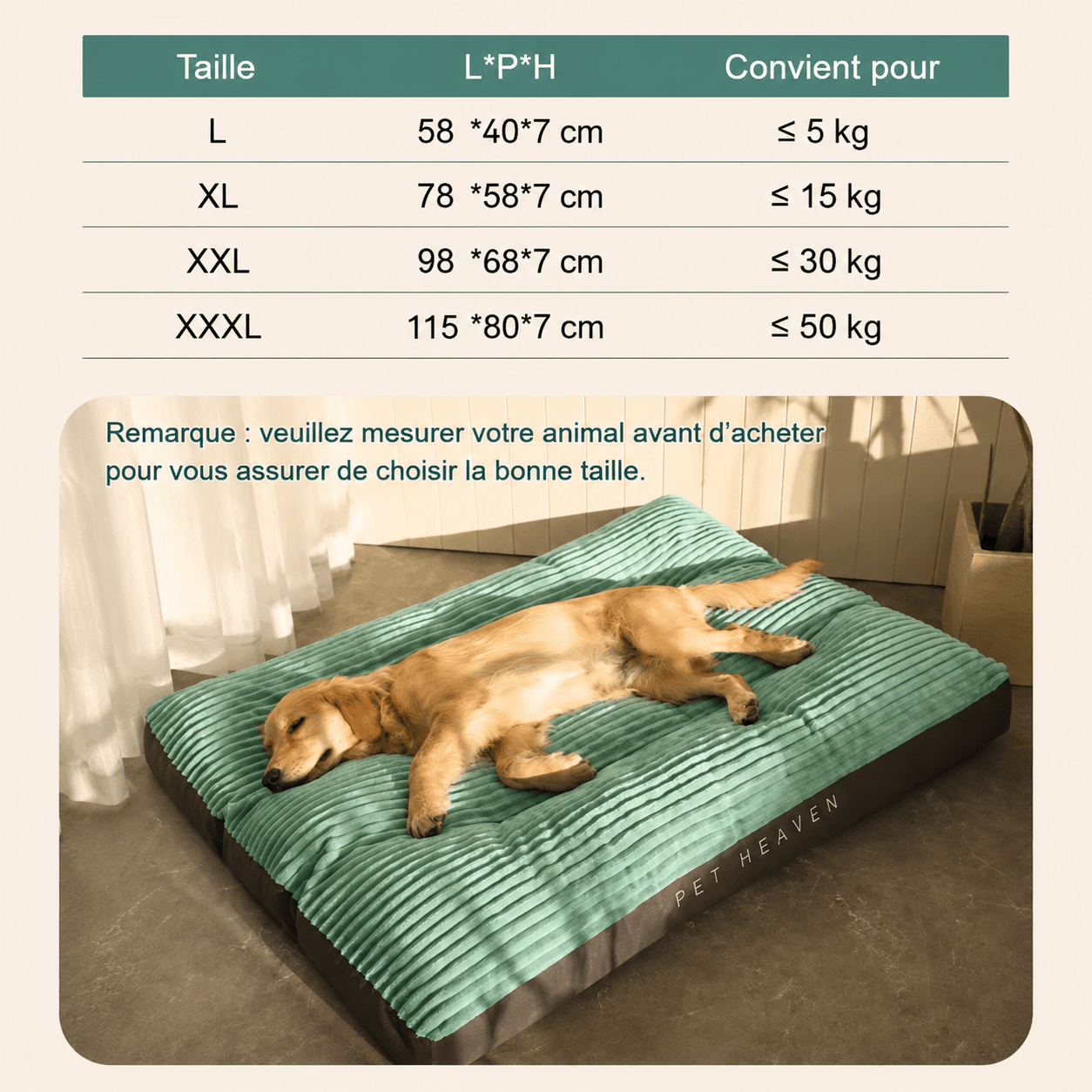 lit confortable pour chien