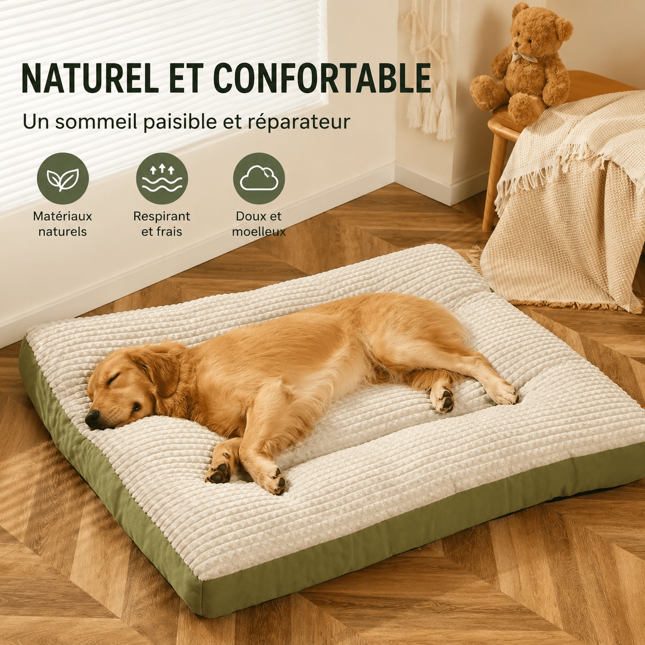 couchage hygiénique chien