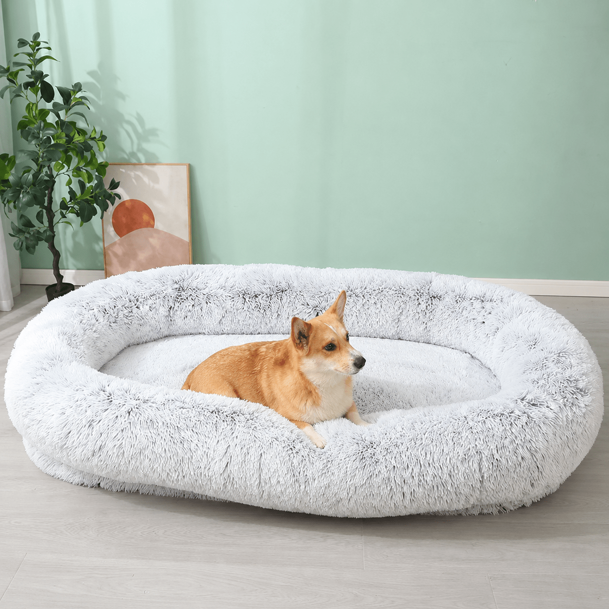 panier confortable pour grand chien