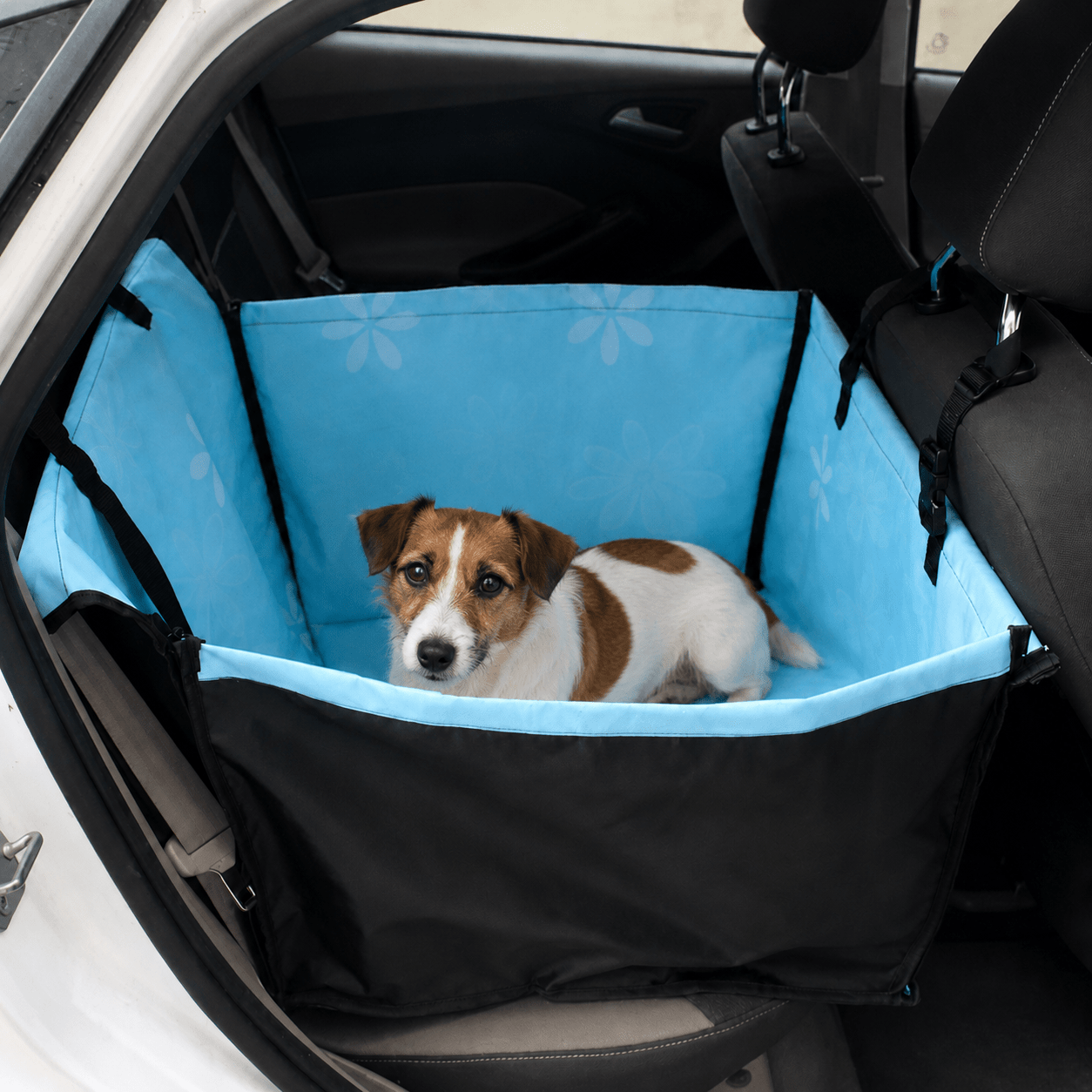 panier transport voiture chien