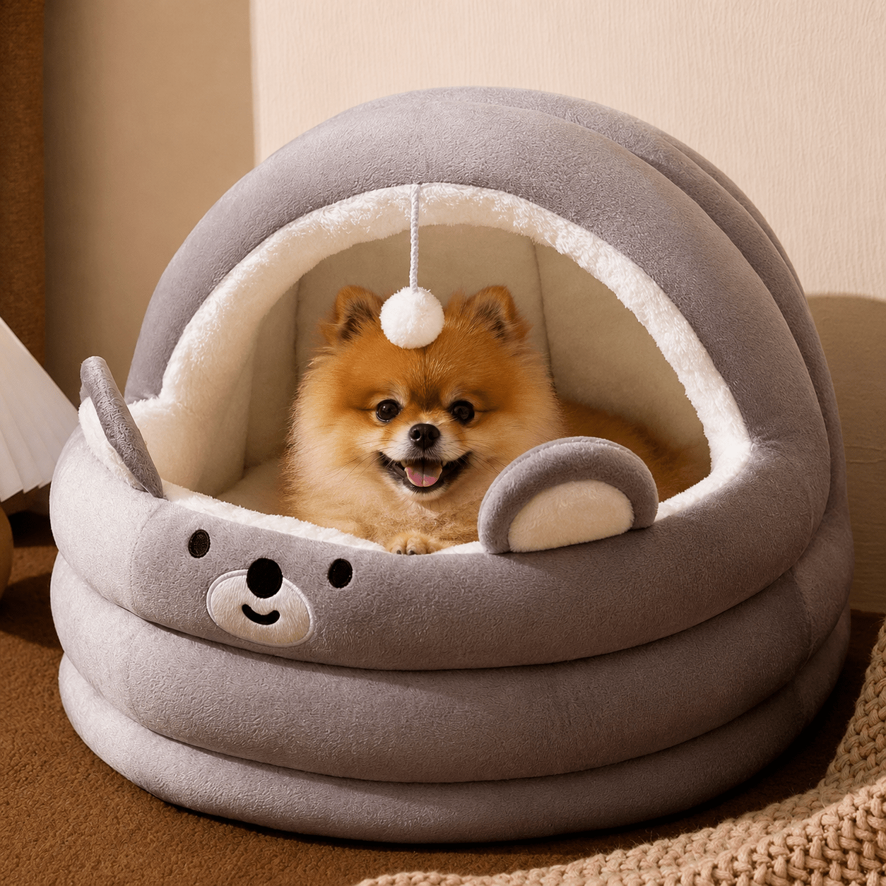 panier chien élégant