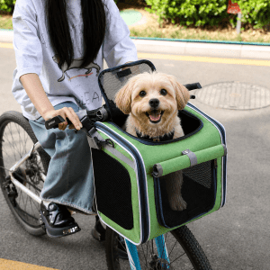 grand panier vélo chien