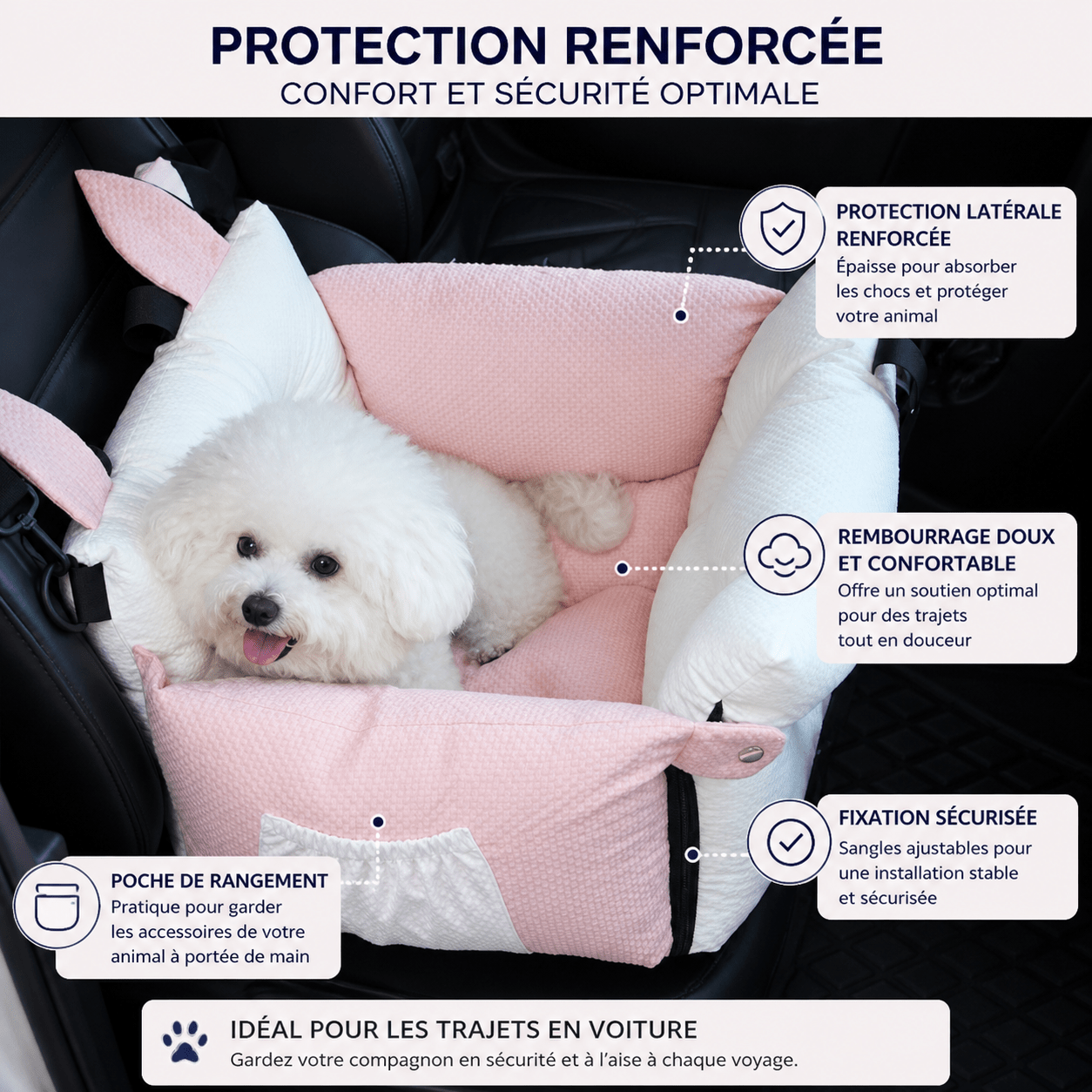 Sécurité animal voiture