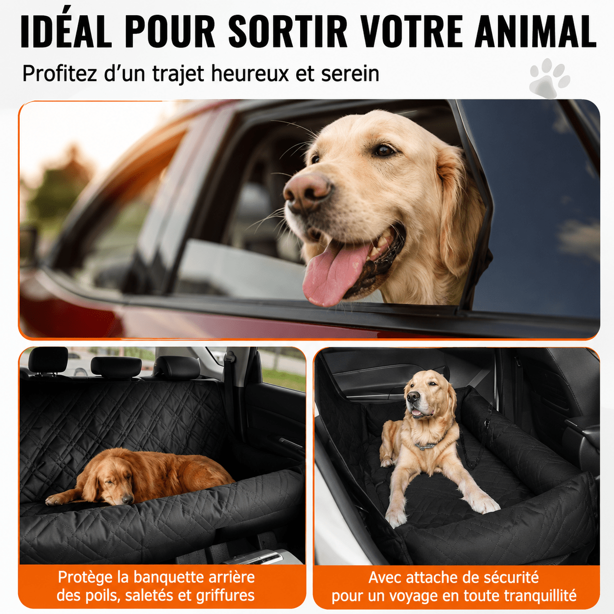 panier élégant pour voiture