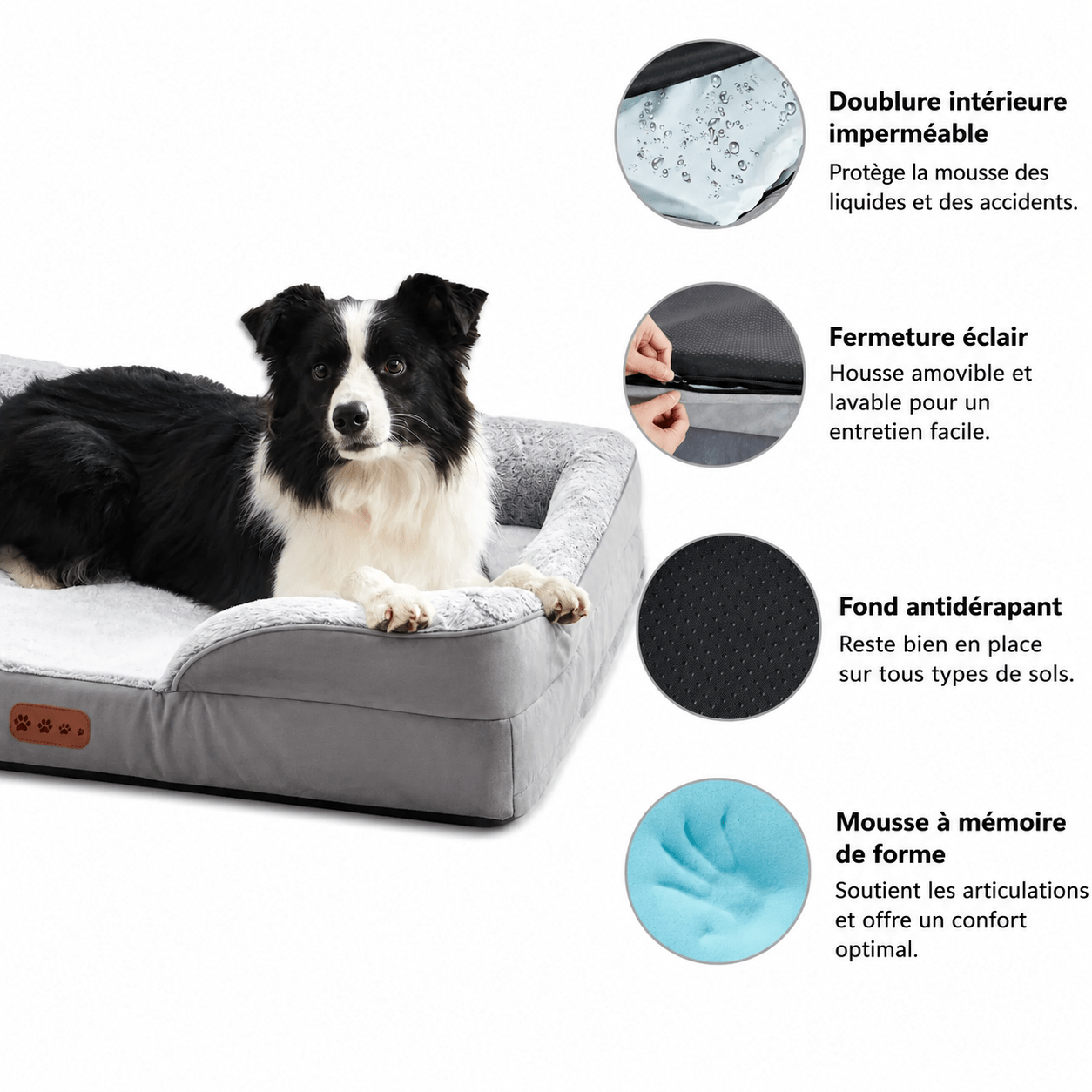 confort du panier chien