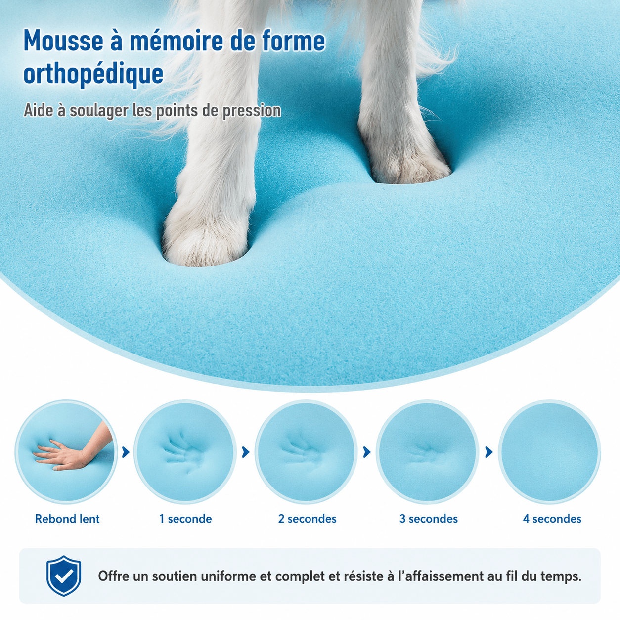 soutien orthopédique panier chien