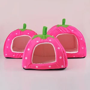 panier pour petit chien
