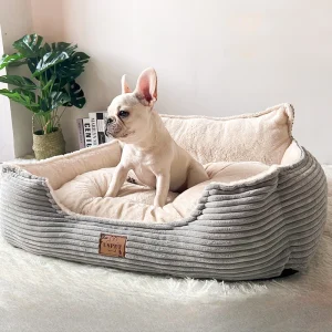 panier petit chien douillet