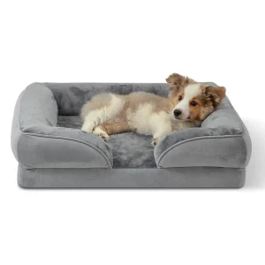 panier orthopédique petit chien