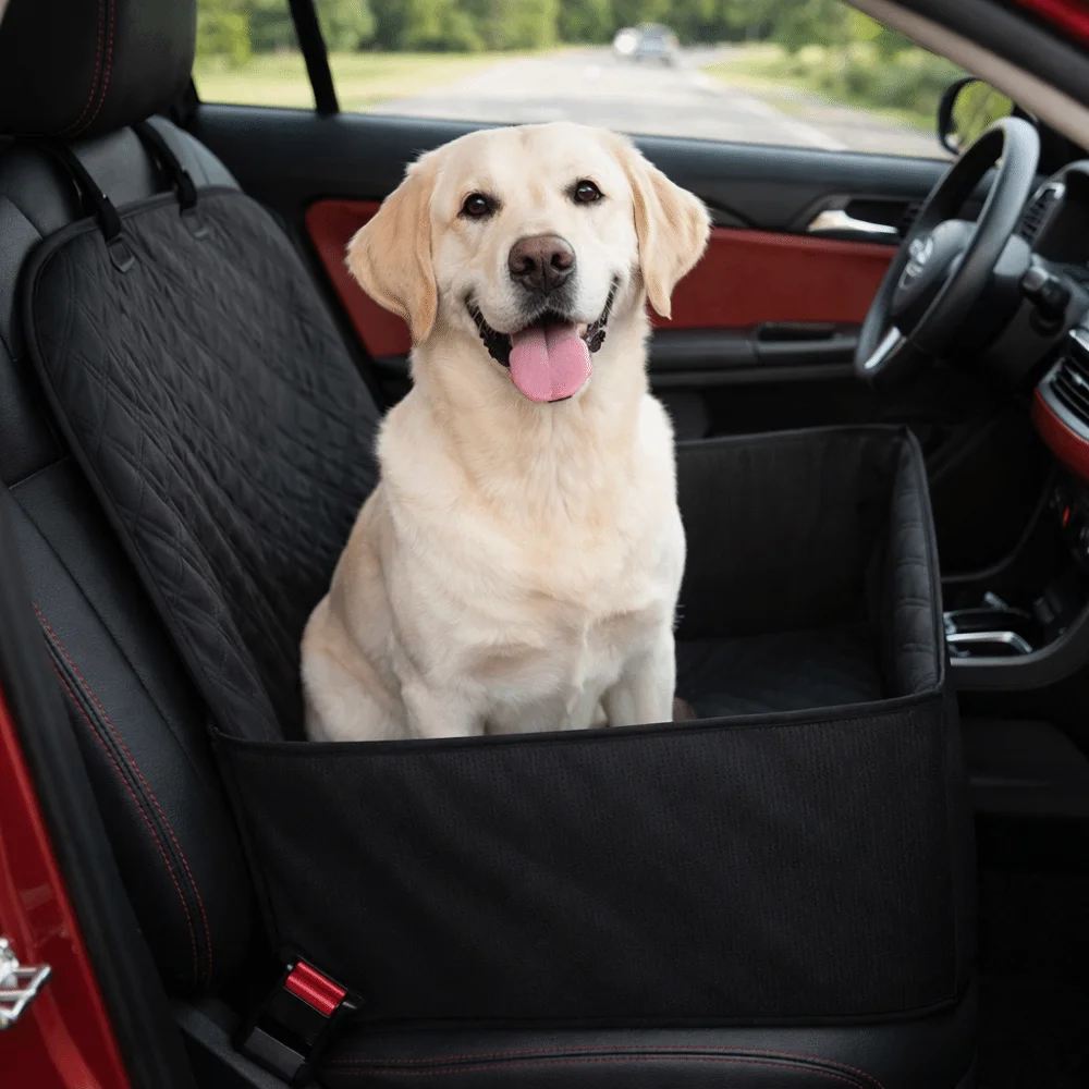 sécurité panier chien voiture