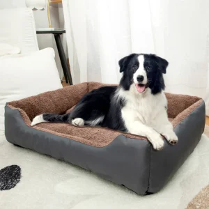 panier grand chien