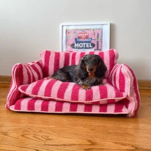 panier pour chien élégant
