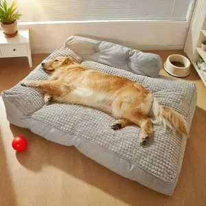 beau panier pour grand chien