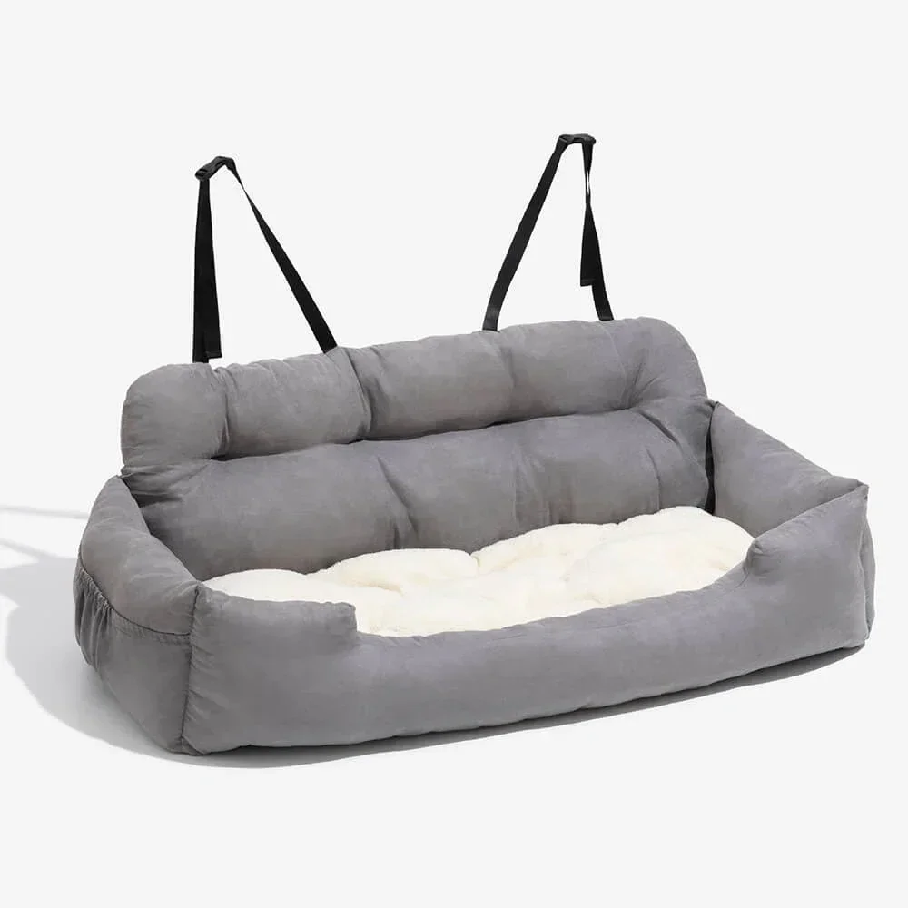 compatibilité universelle chien voiture