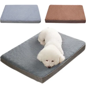 tapis de fond pour petit chien