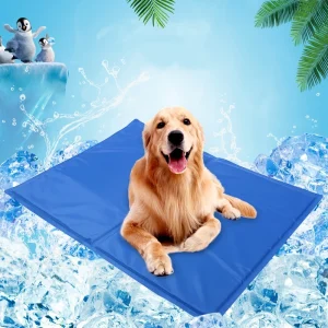 panier pour chien en plastique dur pvc