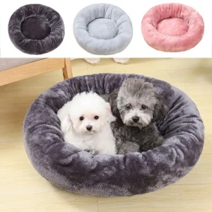 panier pour chihuahua