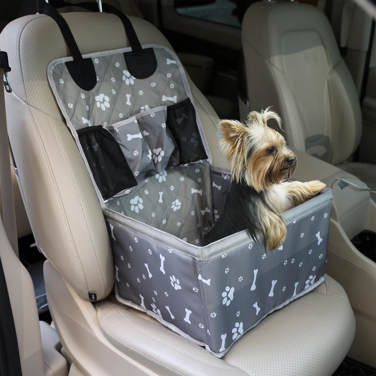basket pour transport de chien