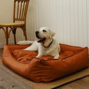 panier grand chien