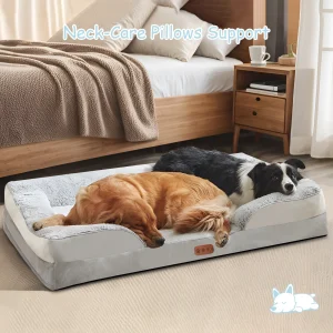 grand panier chien mémoire de forme