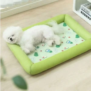panier petit chien rigide