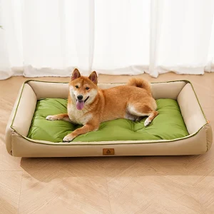 panier plastique chien XXL