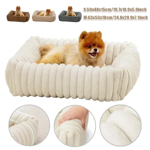 panier tendance petit chien