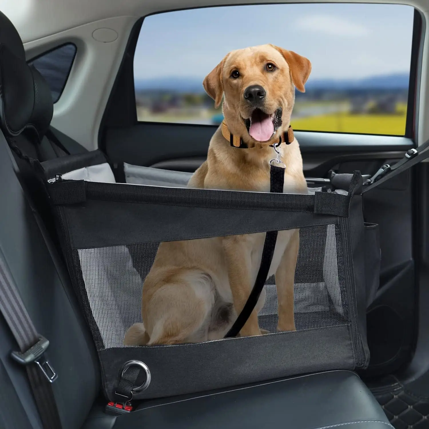 panier pliable pour chien en voiture