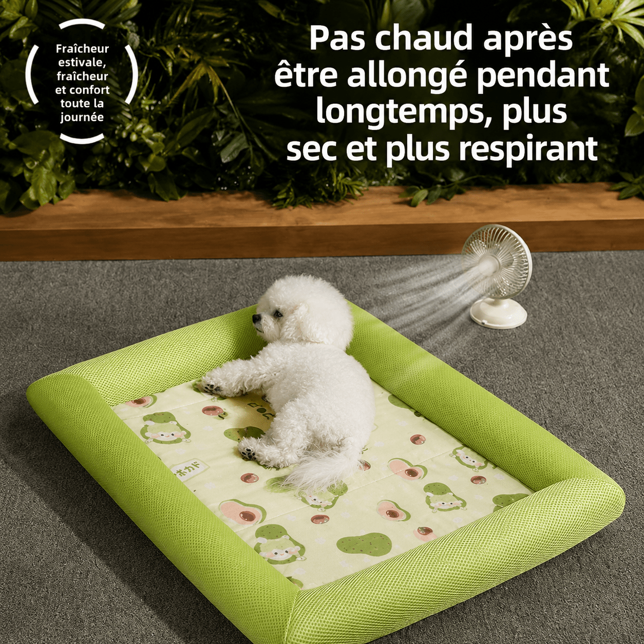 panier sécurité chien