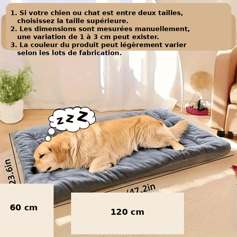 panier chien design moderne